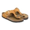 Gizeh Big Buckle em couro nubuck