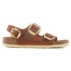 Milano Big Buckle em couro natural oleado