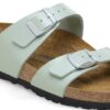 Sydney Birko-Flor Verde Surf Gracioso